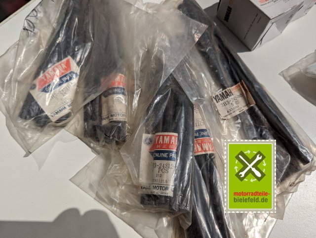 PXL_20240523_094808457